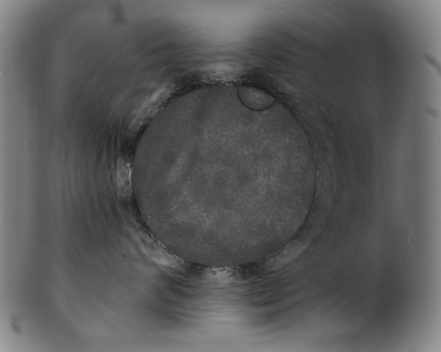 X0000100840624200807111153