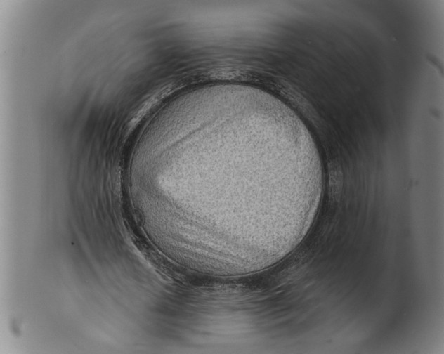 X0000100840626200807111152