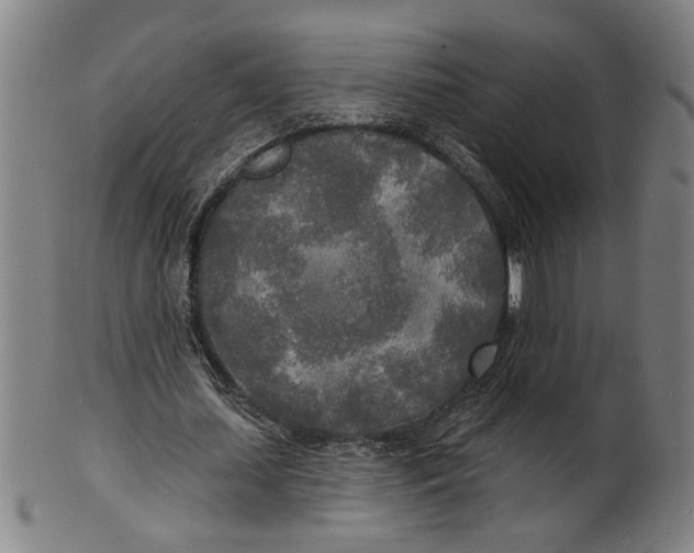 X0000100840627200807111152