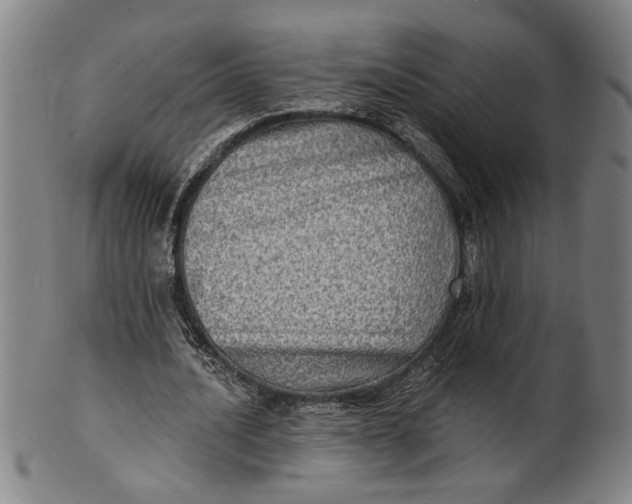 X0000100840628200807111152