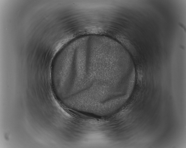 X0000100840630200807111152