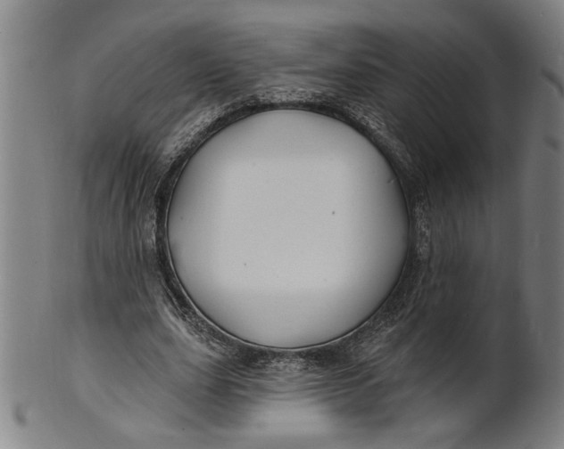 X0000100840631200807111152