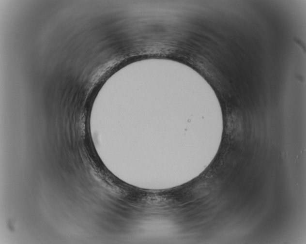 X0000100840632200807111152