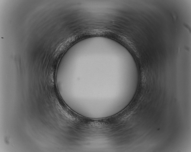 X0000100840633200807111152