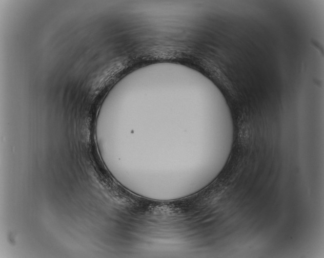 X0000100840635200807111152