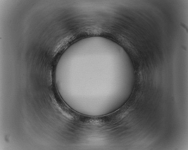 X0000100840638200807111152