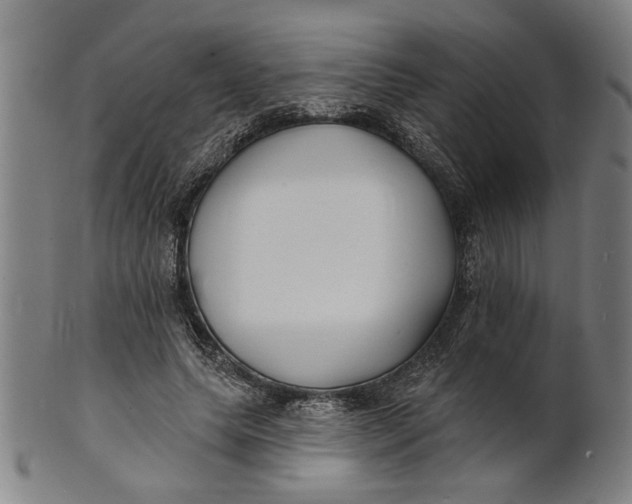 X0000100840639200807111152