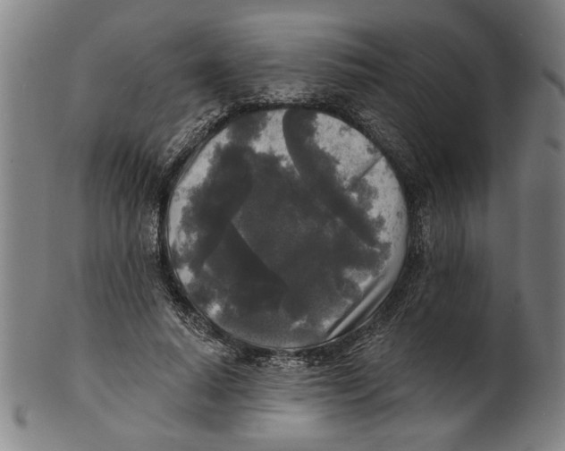 X0000100840640200807111152