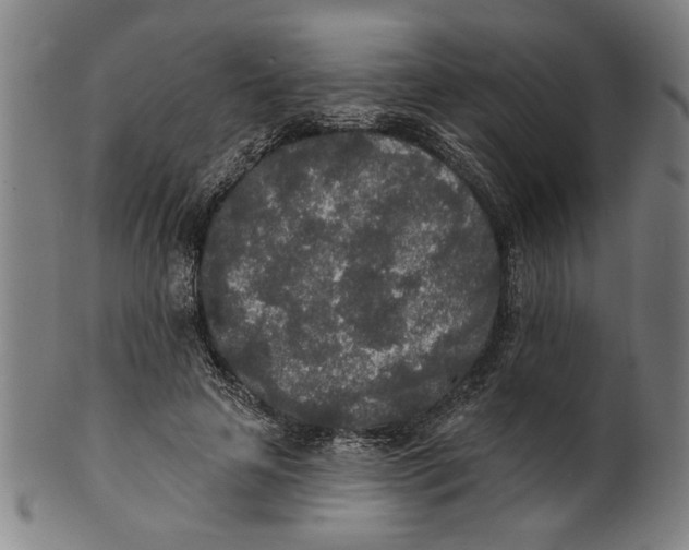 X0000100840641200807111152