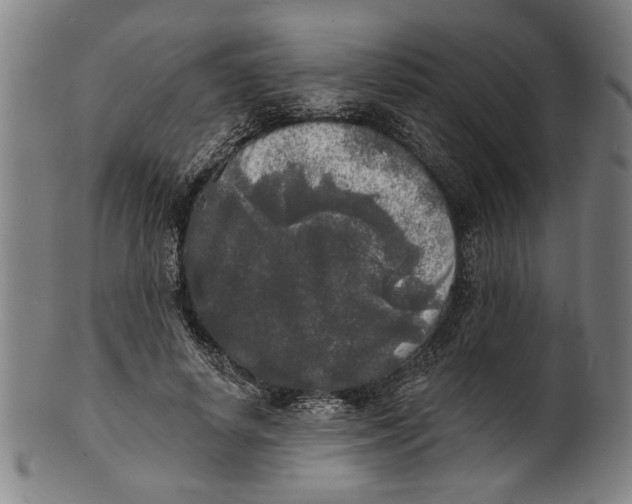 X0000100840642200807111152