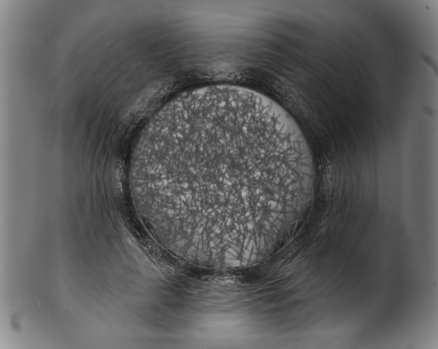 X0000100840643200807111152