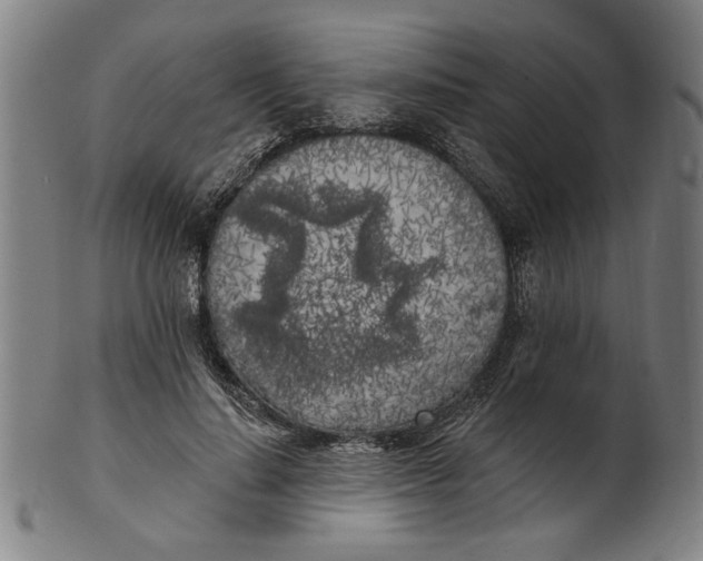 X0000100840644200807111152