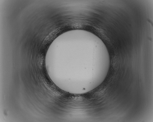 X0000100840645200807111152