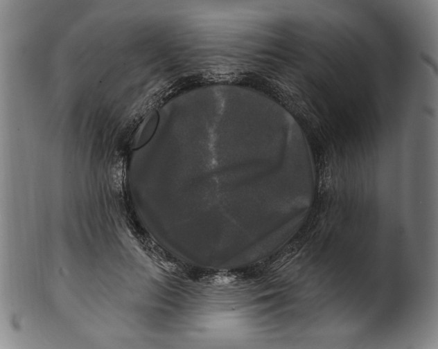 X0000100840647200807111152