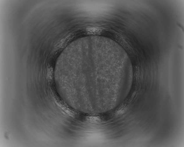 X0000100840649200807111153