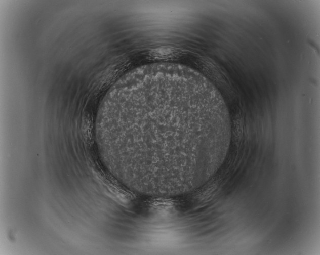 X0000100840653200807111153