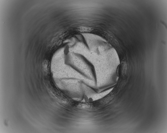 X0000100840655200807111153