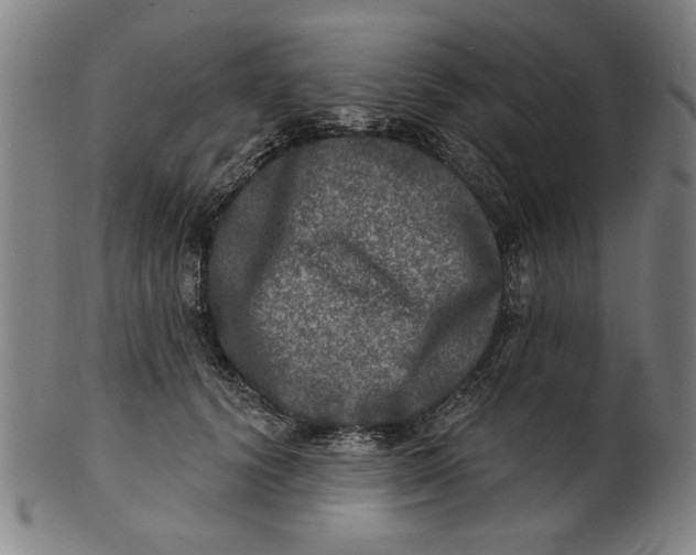 X0000100840656200807111153