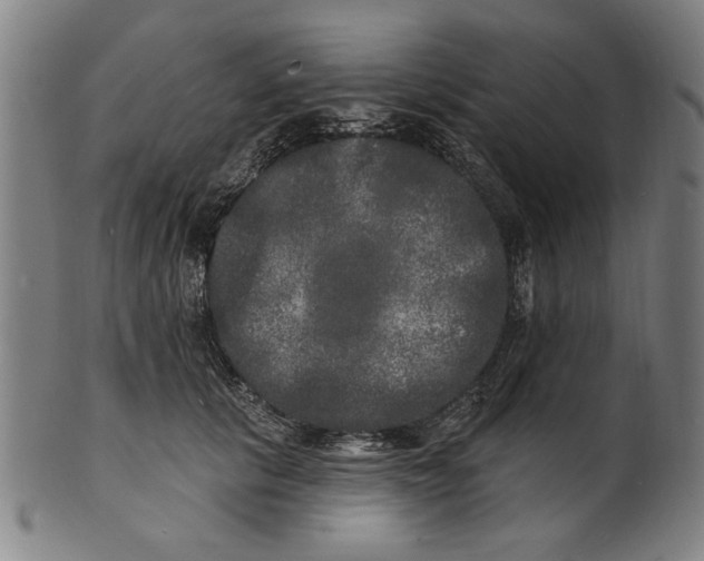 X0000100840657200807111153