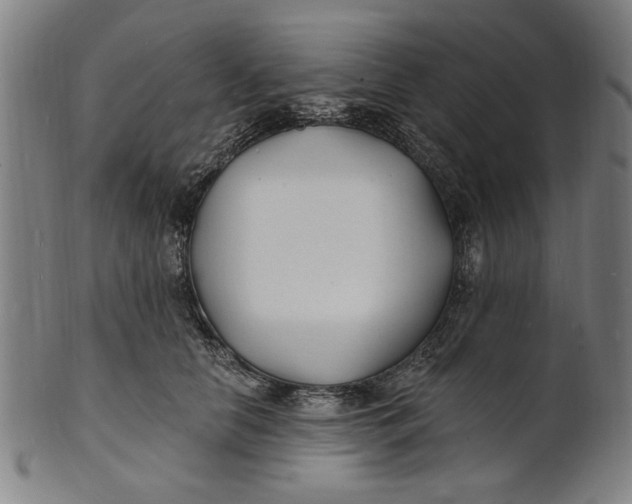 X0000100840658200807111153