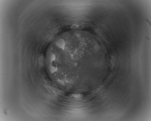 X0000100840659200807111153