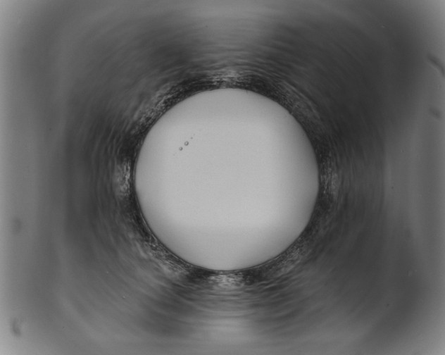 X0000100840660200807111153