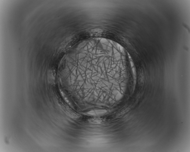 X0000100840661200807111153