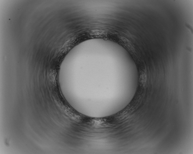 X0000100840662200807111153