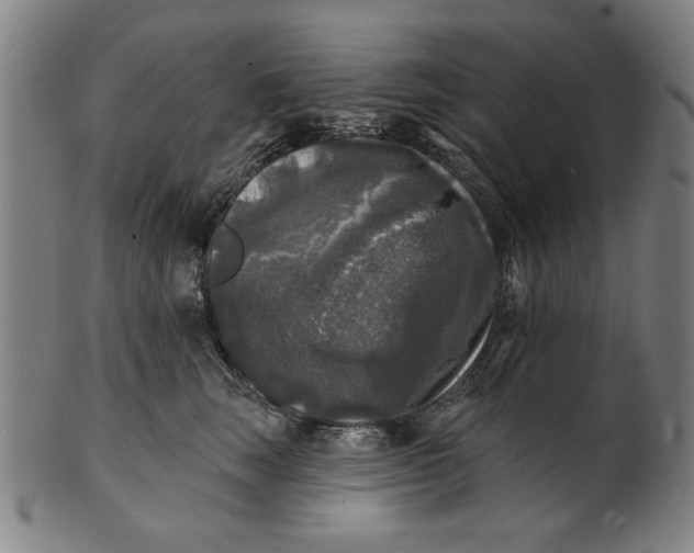 X0000100840663200807111153