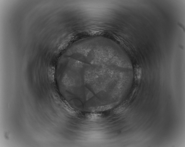 X0000100840664200807111153