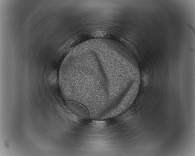 X0000100840665200807111153