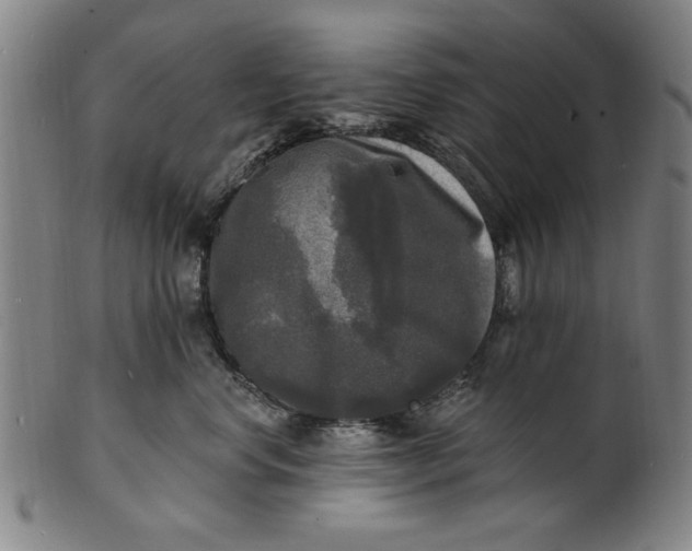 X0000100840668200807111153