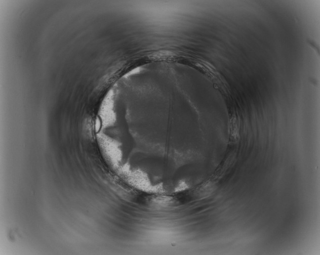 X0000100840669200807111153