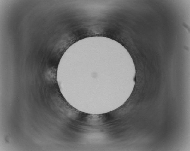 X0000100840672200807111153