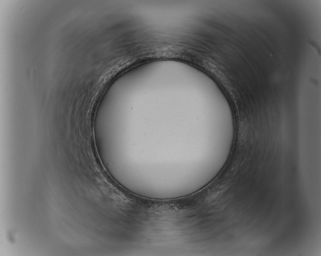 X0000100840673200807111152