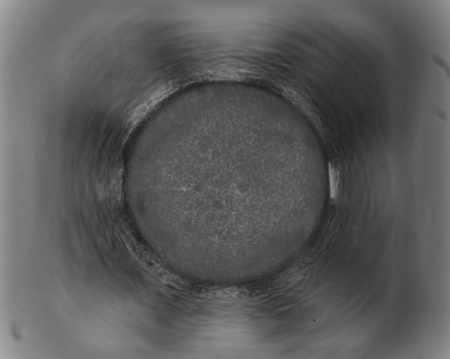 X0000100840675200807111152