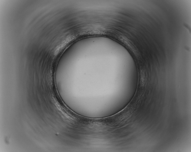 X0000100840677200807111152