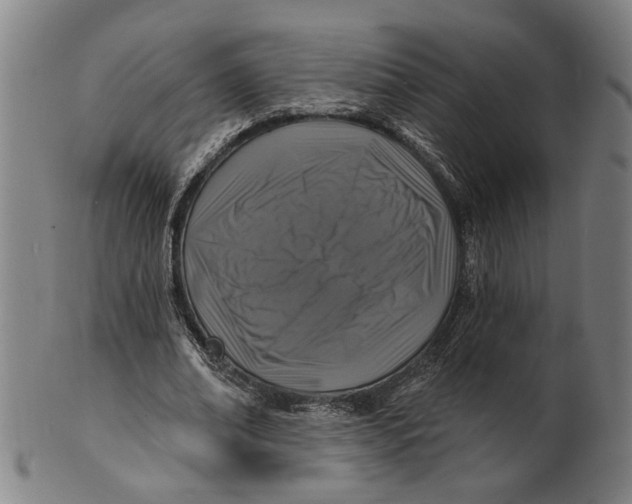 X0000100840678200807111152