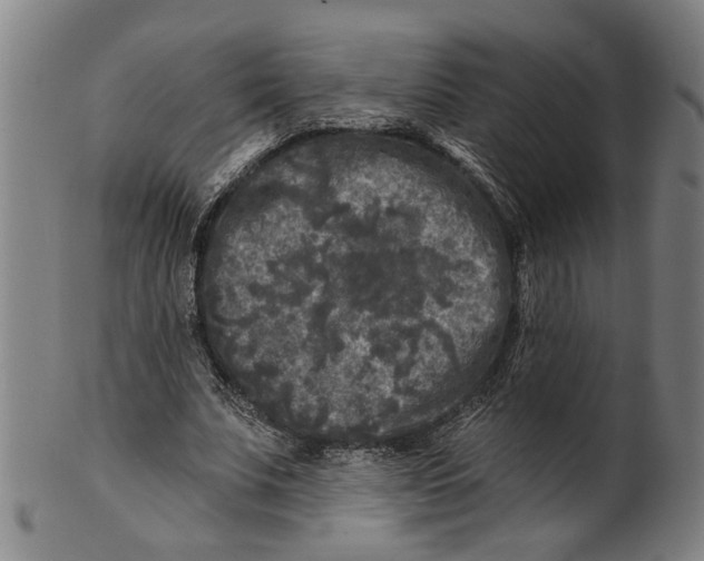 X0000100840679200807111152