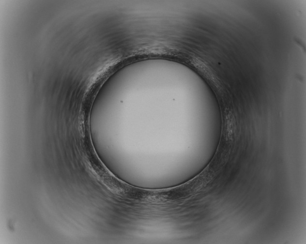 X0000100840680200807111152