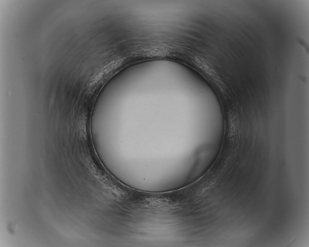 X0000100840681200807111152