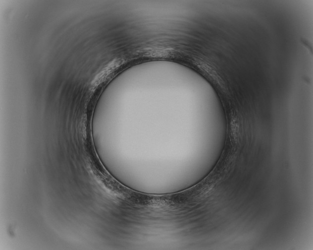 X0000100840682200807111152