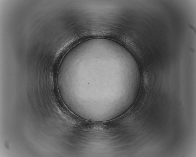 X0000100840684200807111152