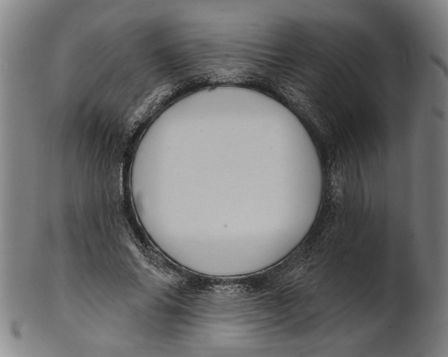 X0000100840686200807111152