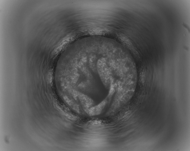 X0000100840687200807111152