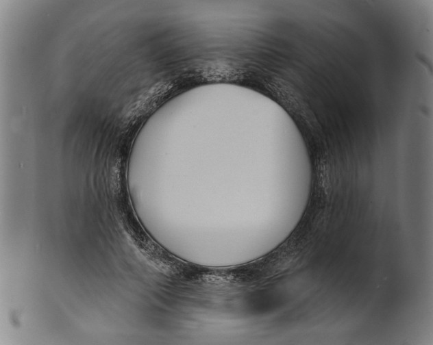 X0000100840690200807111152