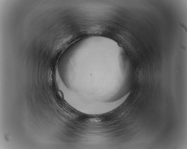 X0000100840692200807111152