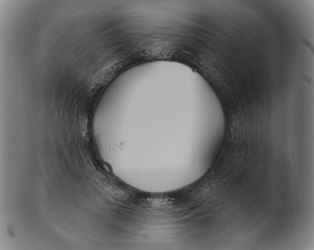 X0000100840693200807111152