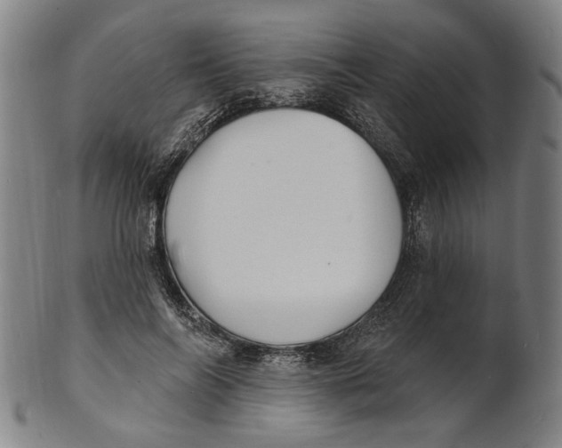 X0000100840694200807111152