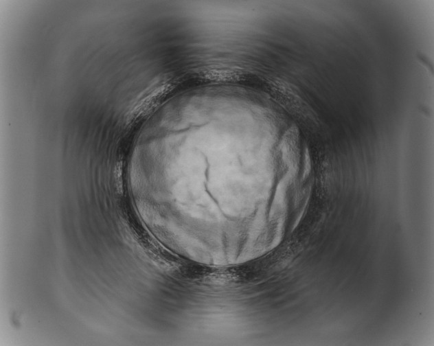 X0000100840696200807111152